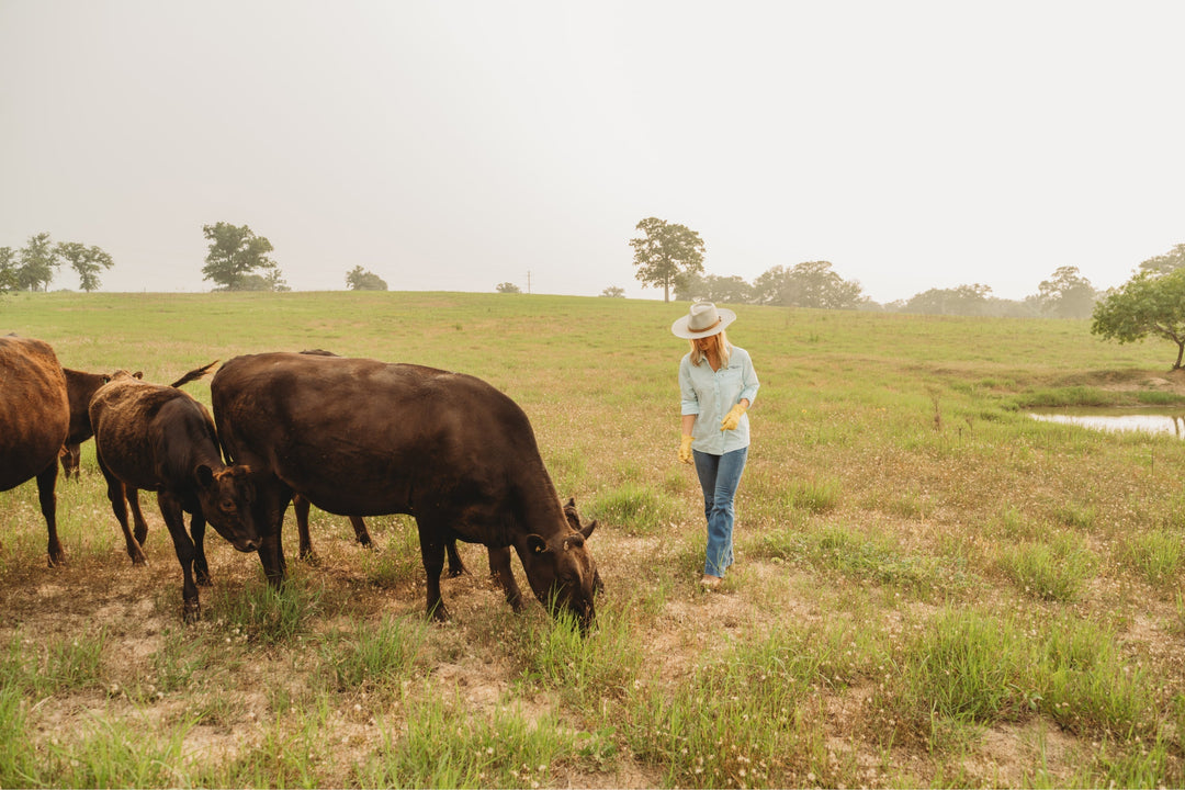 American Wagyu vs. Japanese Wagyu: What’s the Difference?